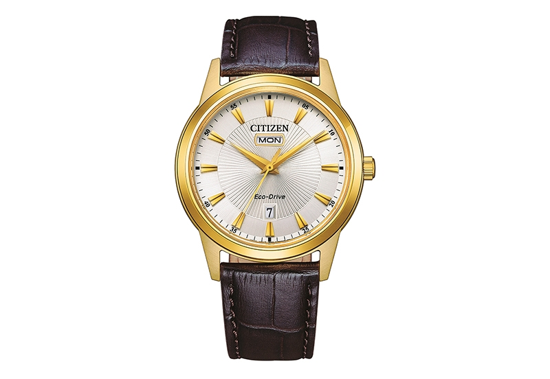 Citizen horlogeband AW0102-13AE