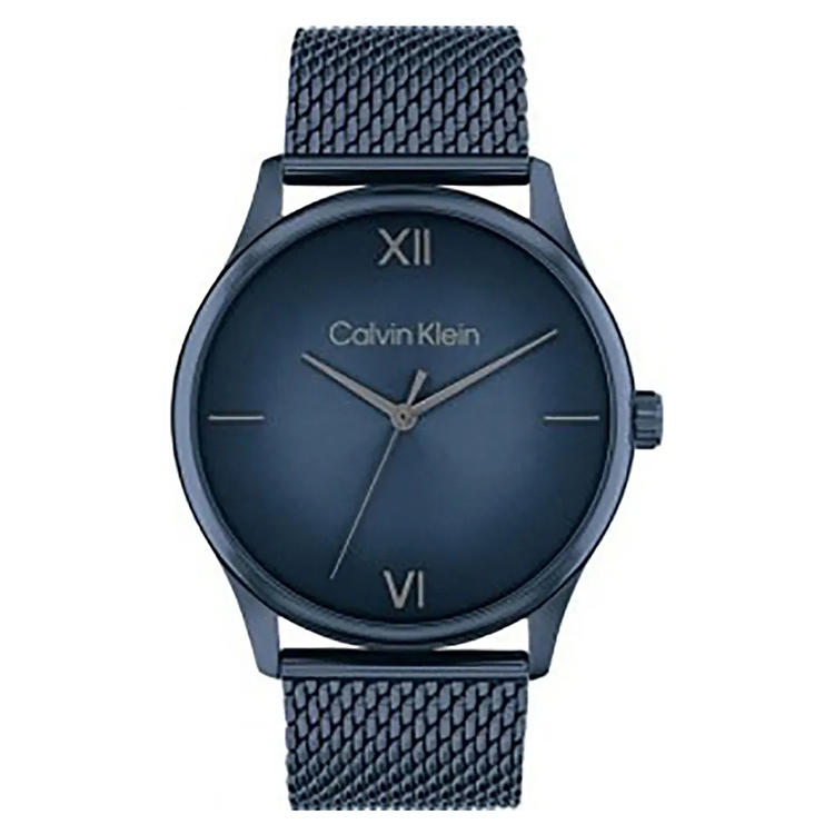 Calvin Klein horlogeband 25200451 Ascend