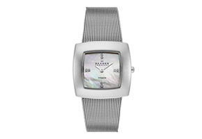 Skagen horlogeband 570STW