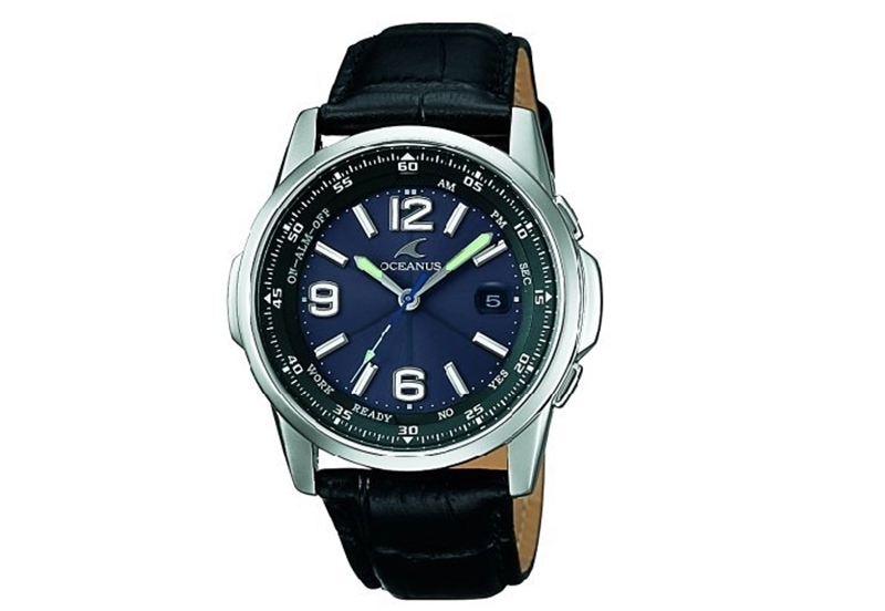 Casio horlogeband OCW-100TLA-1AV