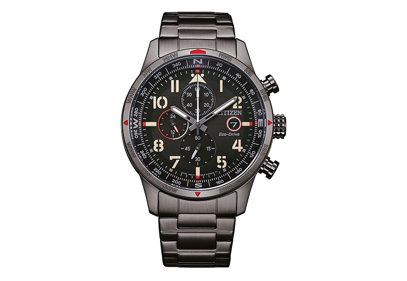 Citizen horlogeband CA0797-84E