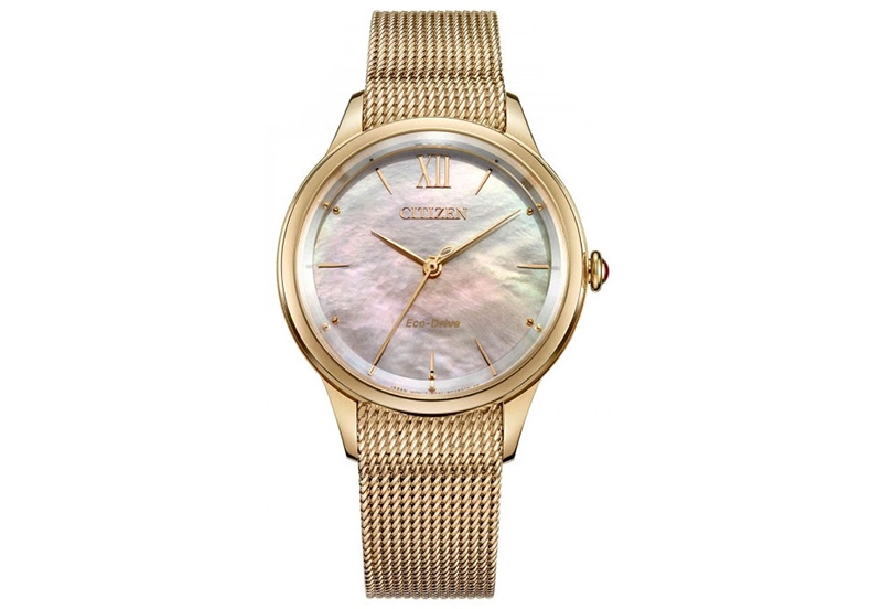 Citizen Citizen L EM0813-86Y horlogeband