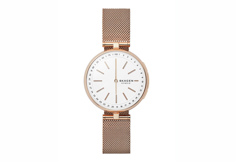 Skagen horlogeband SKT1404