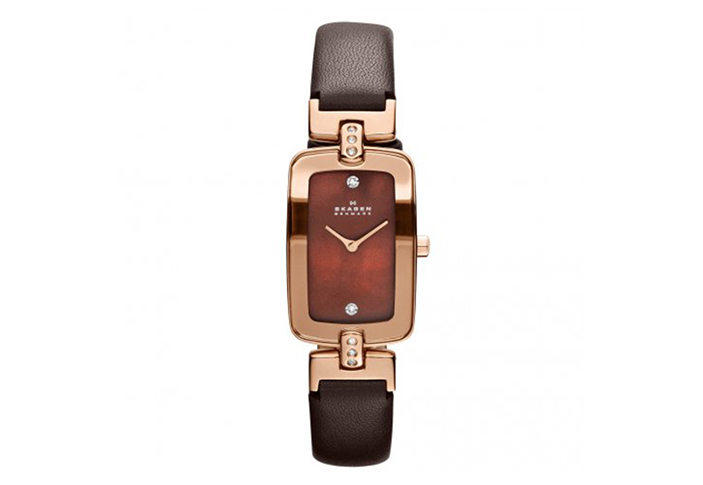Skagen horlogeband H01SRLD