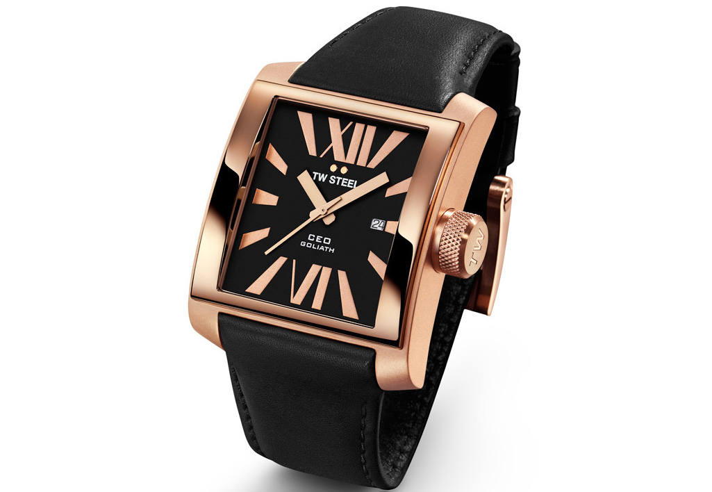 Horlogeband TW STEEL CE3011 XL