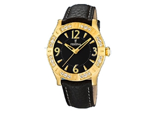 Festina horlogeband F16580-4