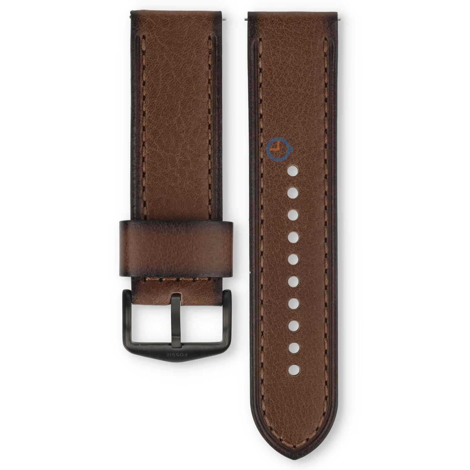 Bruin