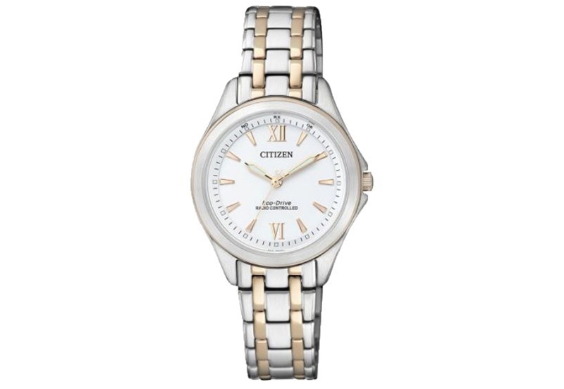Citizen Radio Controlled ES4024-52A horlogeband