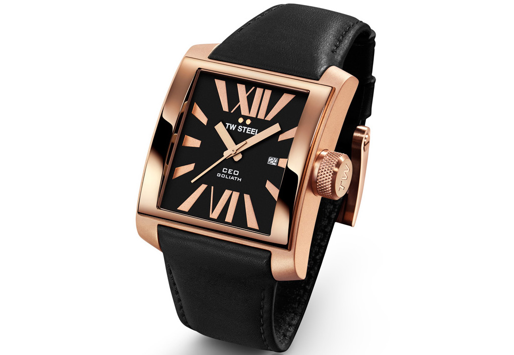 Horlogeband TW STEEL CE3010