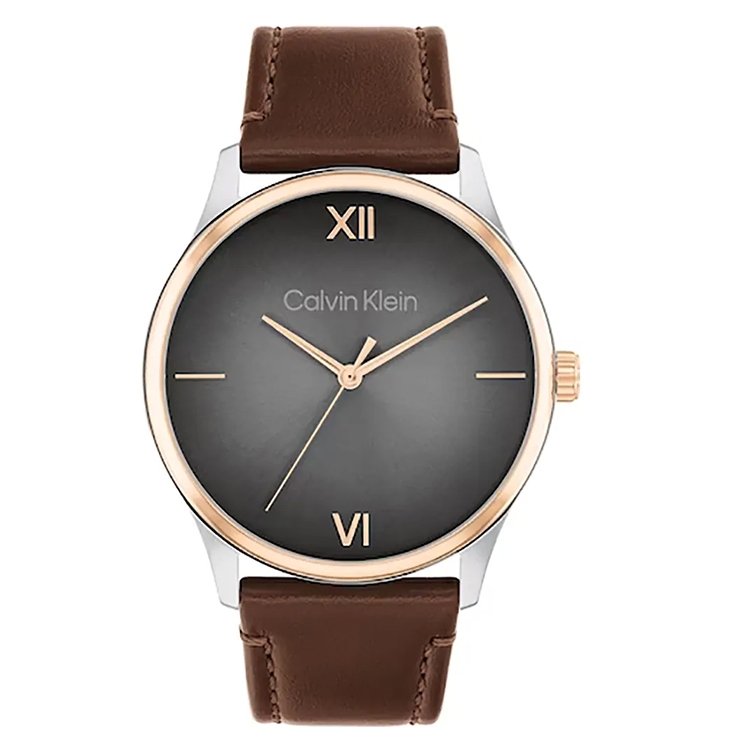 Calvin Klein horlogeband 25200453 Ascend