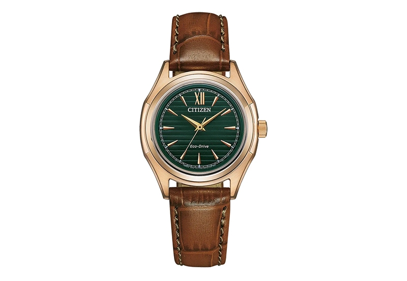 Citizen horlogeband FE2113-16X