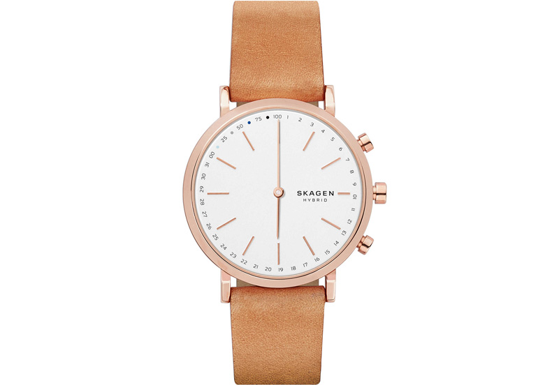 Skagen horlogeband SKT1204