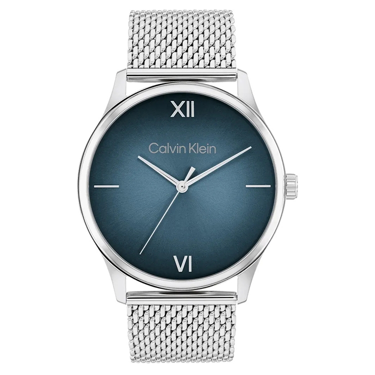 Calvin Klein horlogeband 25200450 Ascend