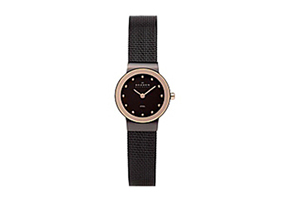 Skagen horlogeband 358XSDDR