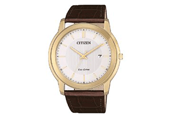 Citizen horlogeband AW1212-10A