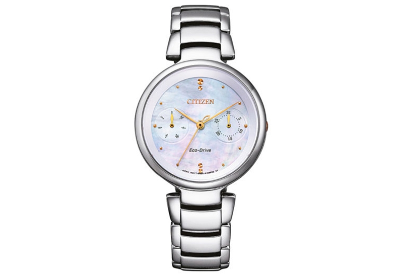 Citizen Citizen L FD1106-81D horlogeband