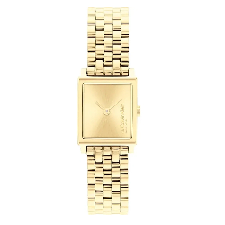 Calvin Klein horlogeband 25000004 Swiss Elongated
