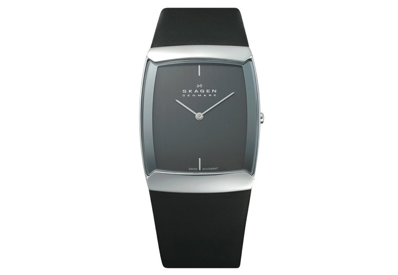 Skagen horlogeband 584LSLM