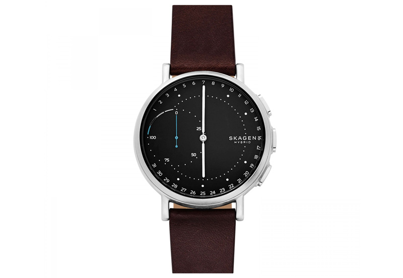 Skagen horlogeband SKT1111