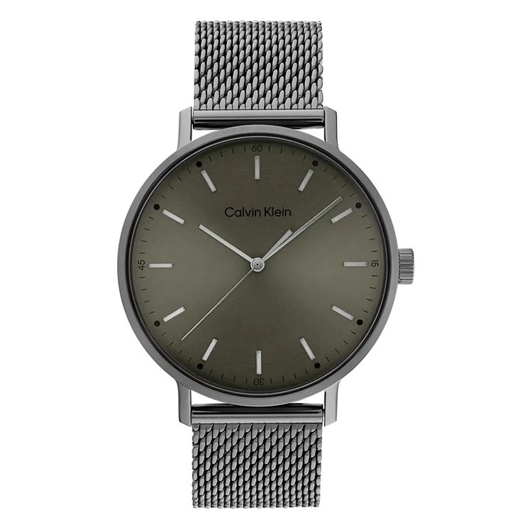 Calvin Klein horlogeband 25200048 Modern Mesh
