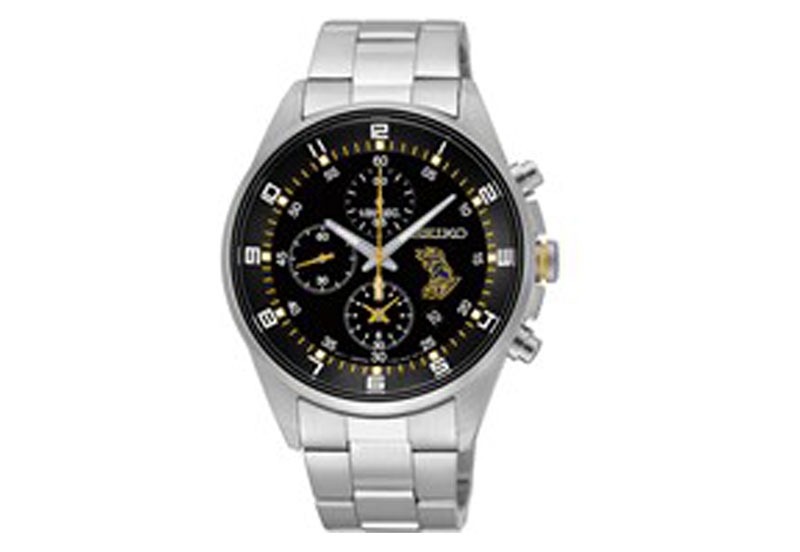 Originele horlogeband voor Seiko SNDF15P1