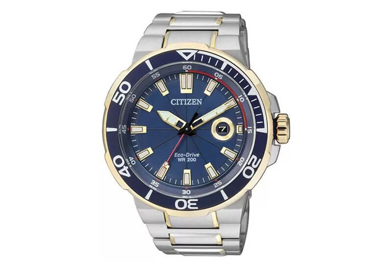 Citizen horlogeband AW1424-62L