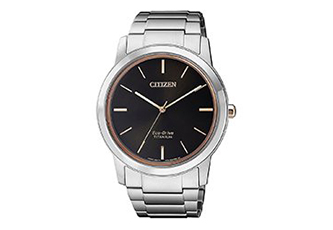 Citizen horlogeband AW2024-81E