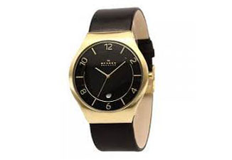 Skagen horlogeband SKW6145