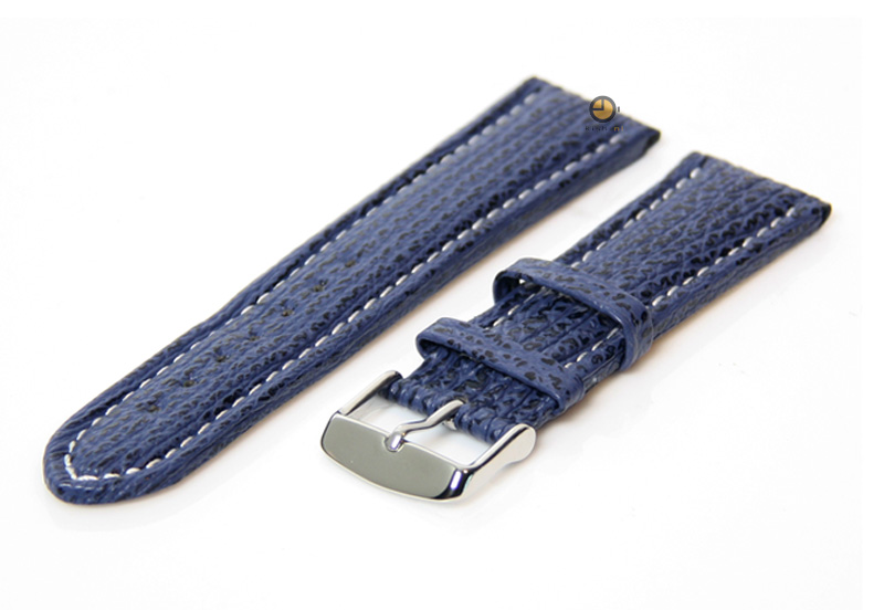 Horlogeband 22mm blauw