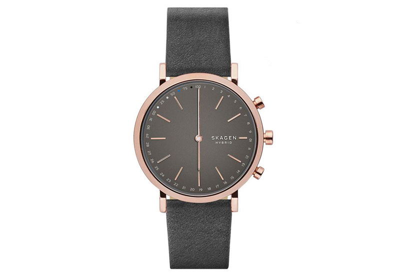 Skagen horlogeband SKT1207