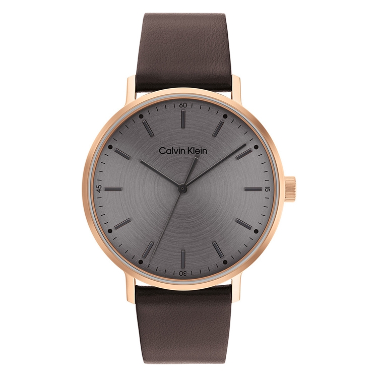 Calvin Klein horlogeband 25200051 Modern Mesh