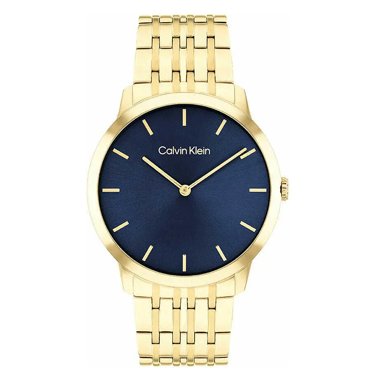 Calvin Klein horlogeband 25300007 Intrigue