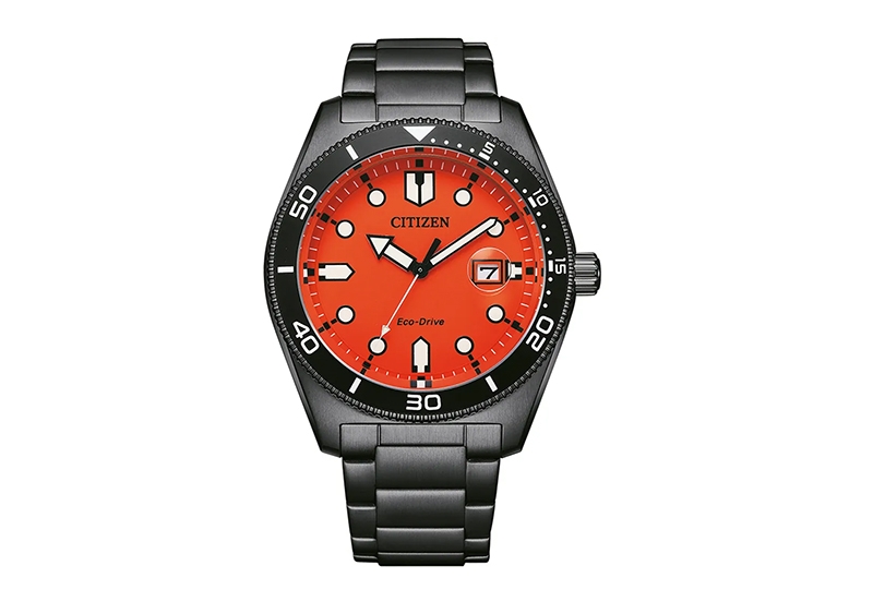 Citizen horlogeband AW1765-88x