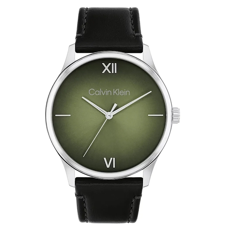 Calvin Klein horlogeband 25200454 Ascend