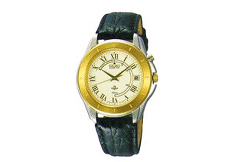 Originele horlogeband voor Seiko SGT308P1