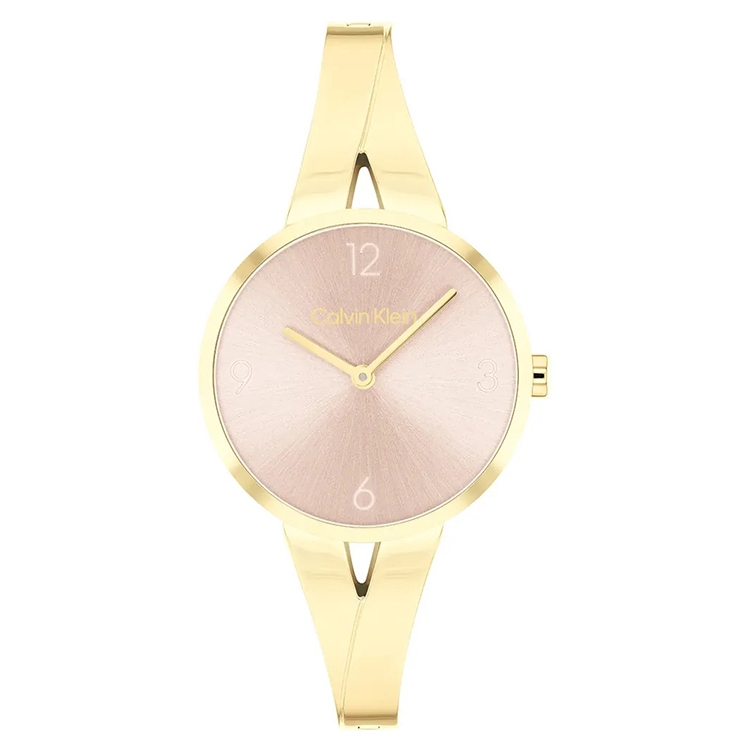 Calvin Klein horlogeband 25100027 Joyful