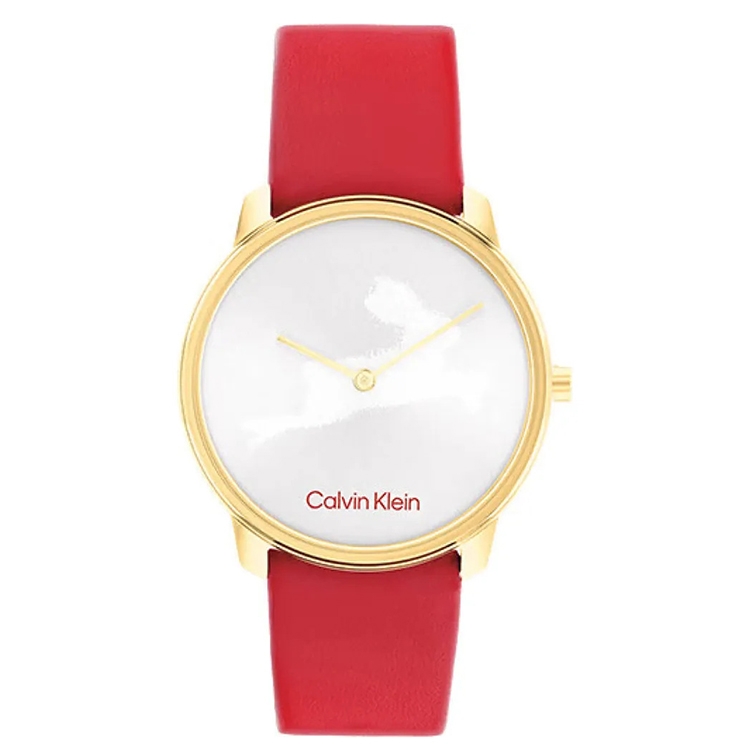 Calvin Klein horlogeband 25200219 Iconic