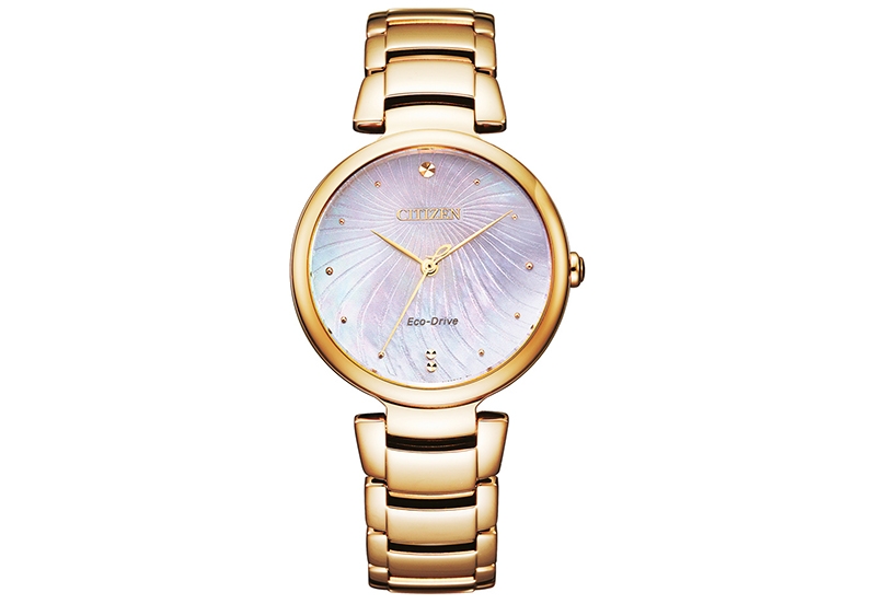 Citizen Citizen L EM0853-81Y horlogeband