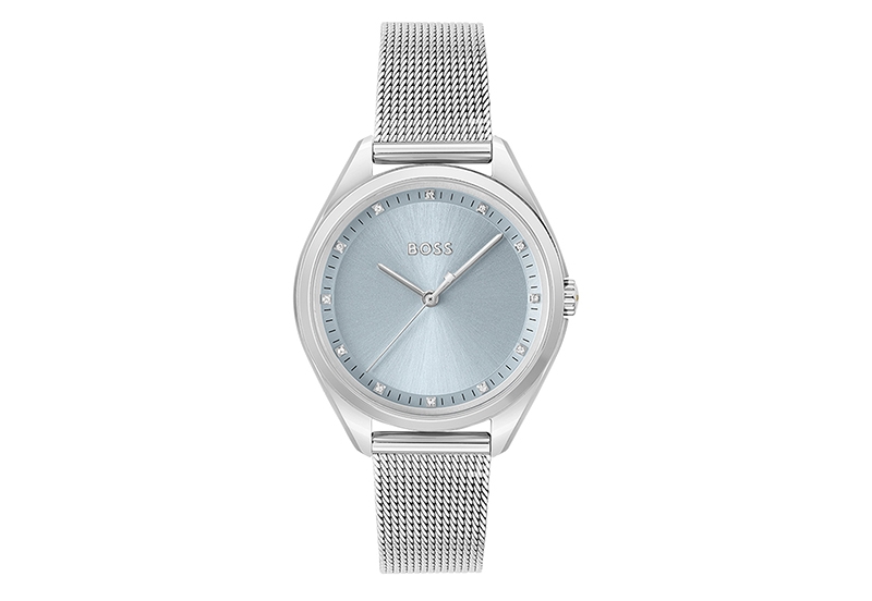 Horlogebandje Hugo Boss HB1502667