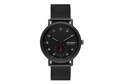 Skagen horlogebandje SKW6892