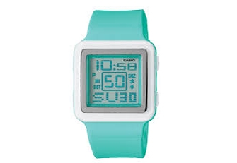 Casio horlogeband LDF-20-3AV